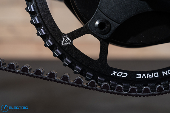 Evelo Omega Chain Close Up